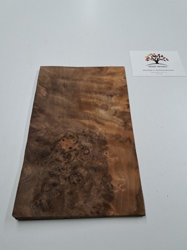 Burr walnut veneer - -, 1
