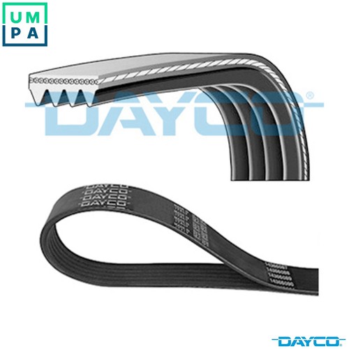 Vribbed belt for iveco - belt,