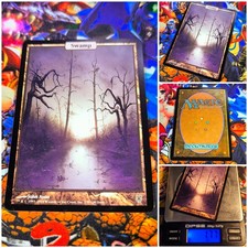 MTG Swamp 🇬🇧 NM