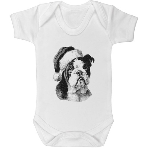 English bulldog wearing santa - wearing,