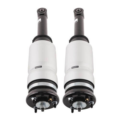 Air suspension shock strut - 2x,