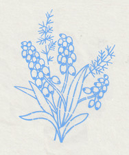 Vintage embroidery transfer - vintage,