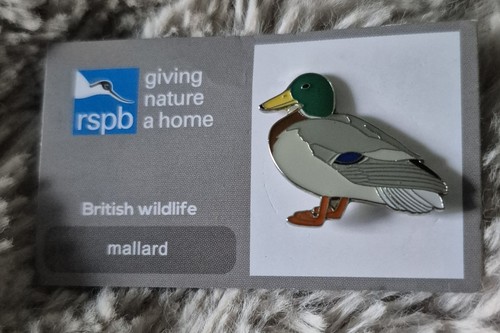 Rspb bird pin badge mallard - pin,