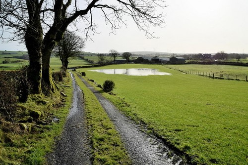 Photo 6x4 lane carony - 6x4, lane,