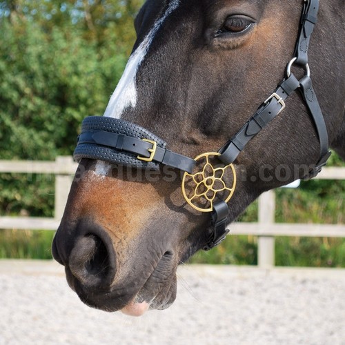 Jasmine flower hackamore - flower,