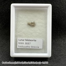 Lunar Meteorite NWA 8687