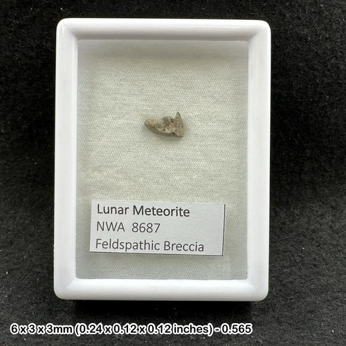 Lunar meteorite nwa 8687 - lunar,