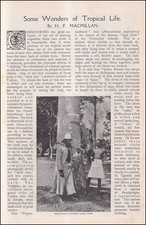 SOME WONDERS OF TROPICAL LIFE