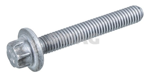 Swag 6389 screw plug - 10, 94