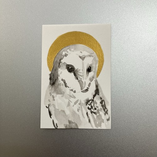 Original owl sunset - in,