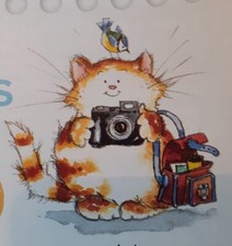 Photographer Cat Cross Stitch Chart By Margaret Sherry