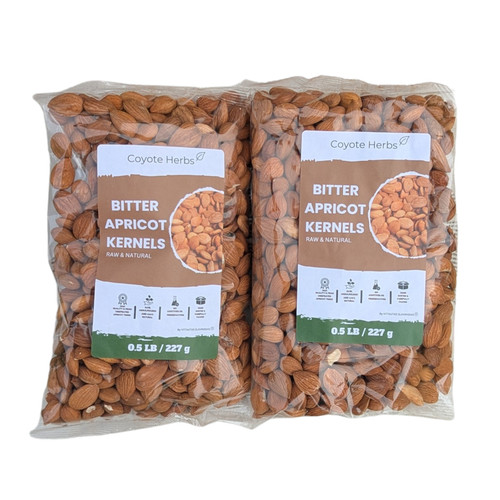 Natural apricot tree seeds - natural,