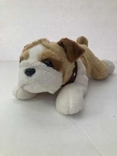 Aurora english bulldog puppy - aurora,