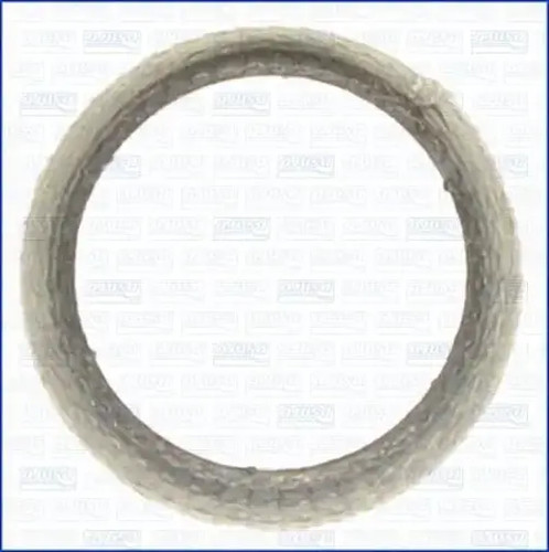 Exhaust pipe gasket 00976200