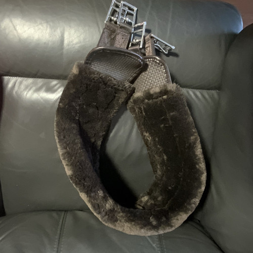 Brown arma horse - brown,