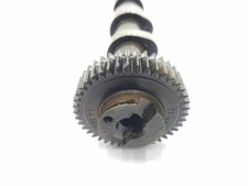 03L109021E camshaft for SEAT ALTEA XL 1.6 TDI (105 CV) 2006 2056228