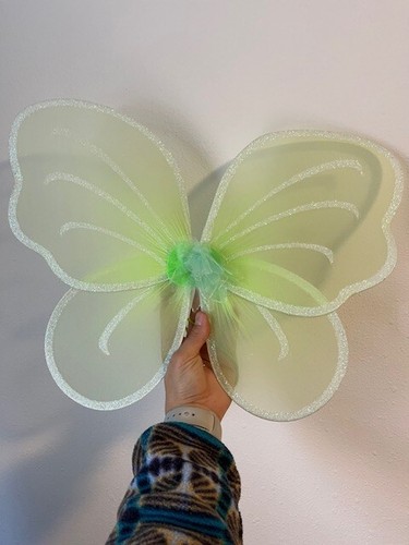 Colors fairy wings - 4,