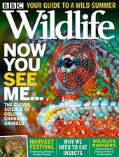 BBC Wildlife Magazine LOT of 2