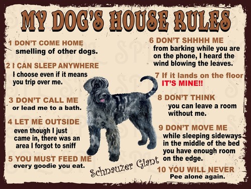 Schnauzer giant dog house - schnauzer, dog's