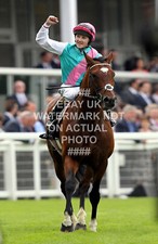 FRANKEL TOM QUEALLY PHOTO