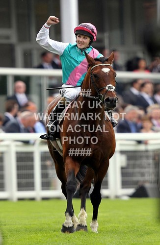 Frankel tom queally - tom,