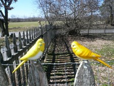 BRILLIANTPAIR OLD POTTERY