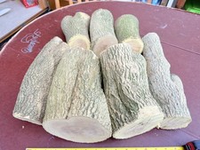 13kg 7no English Boxwood