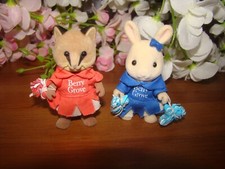 Sylvanian Families School