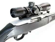 Ruger 10/22 accessories 4x32