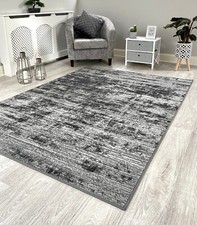 Large living room - living, rugs