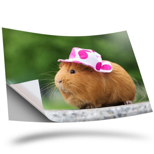 Vinyl sticker sweet - -,
