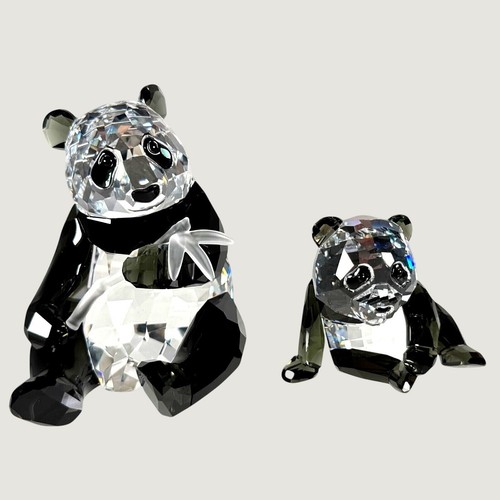 Retired swarovski scs 2008 - swarovski,