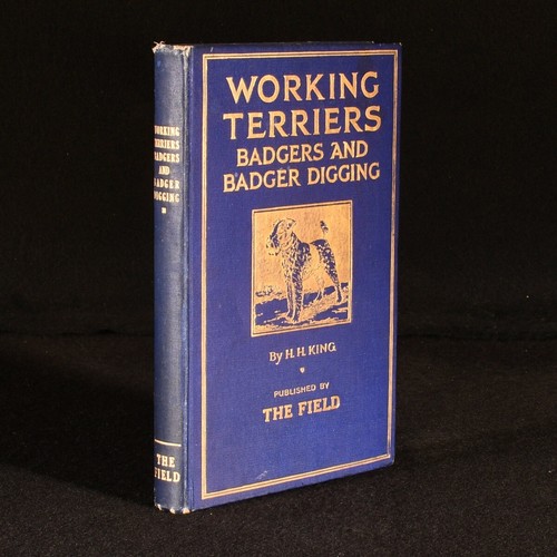 1931 working terriers badgers - 1931,