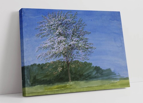 Study tree william - a,