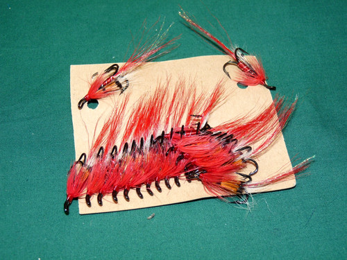 New allies shrimp crystal - new,