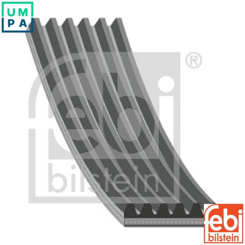 Vribbed belt 37649 for - vribbed,