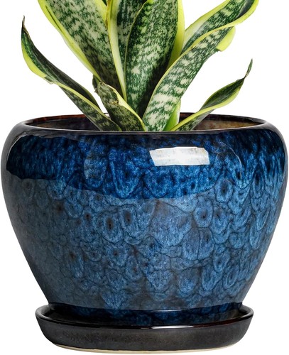 Inch plant pot ceramic - 6,