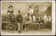 funny family in cow cart