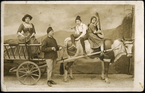 Funny family cow - funny, in