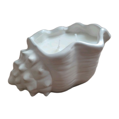 Coral sand seashell candle - seashell, candle/