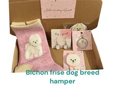 Bichon Frise fluffy dog Lover
