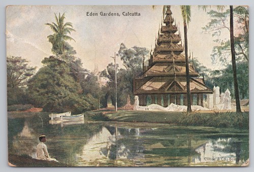 Calcutta eden gardens burmese - eden,