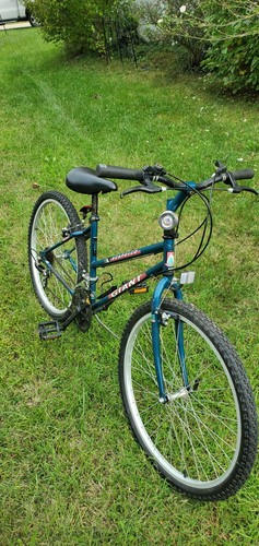 Giant ladies bike