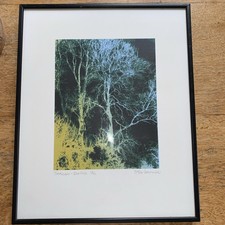 Limited Edition Silkscreen