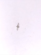 Jeambrun 9-3/4  Balance Staff