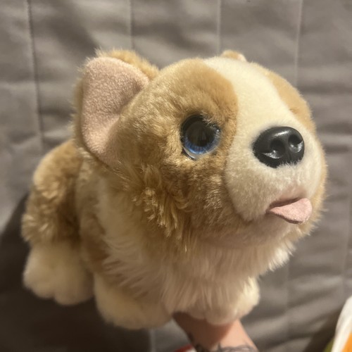 Keel toys large corgi dog - keel,