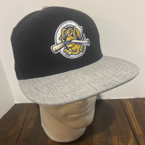 Charleston riverdogs snapback - charleston,