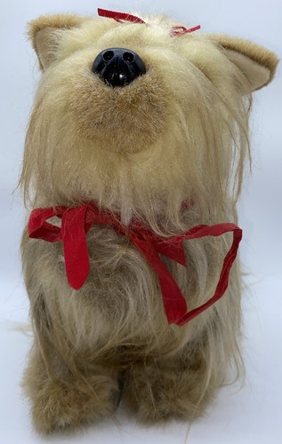 Yorkshire terrier yorkie puppy - terrier,