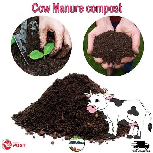 Cow manure organic - cow,