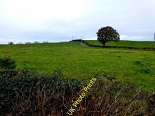 Photo 6x4 Carony Townland